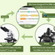 Image for article titled Make your own DNA